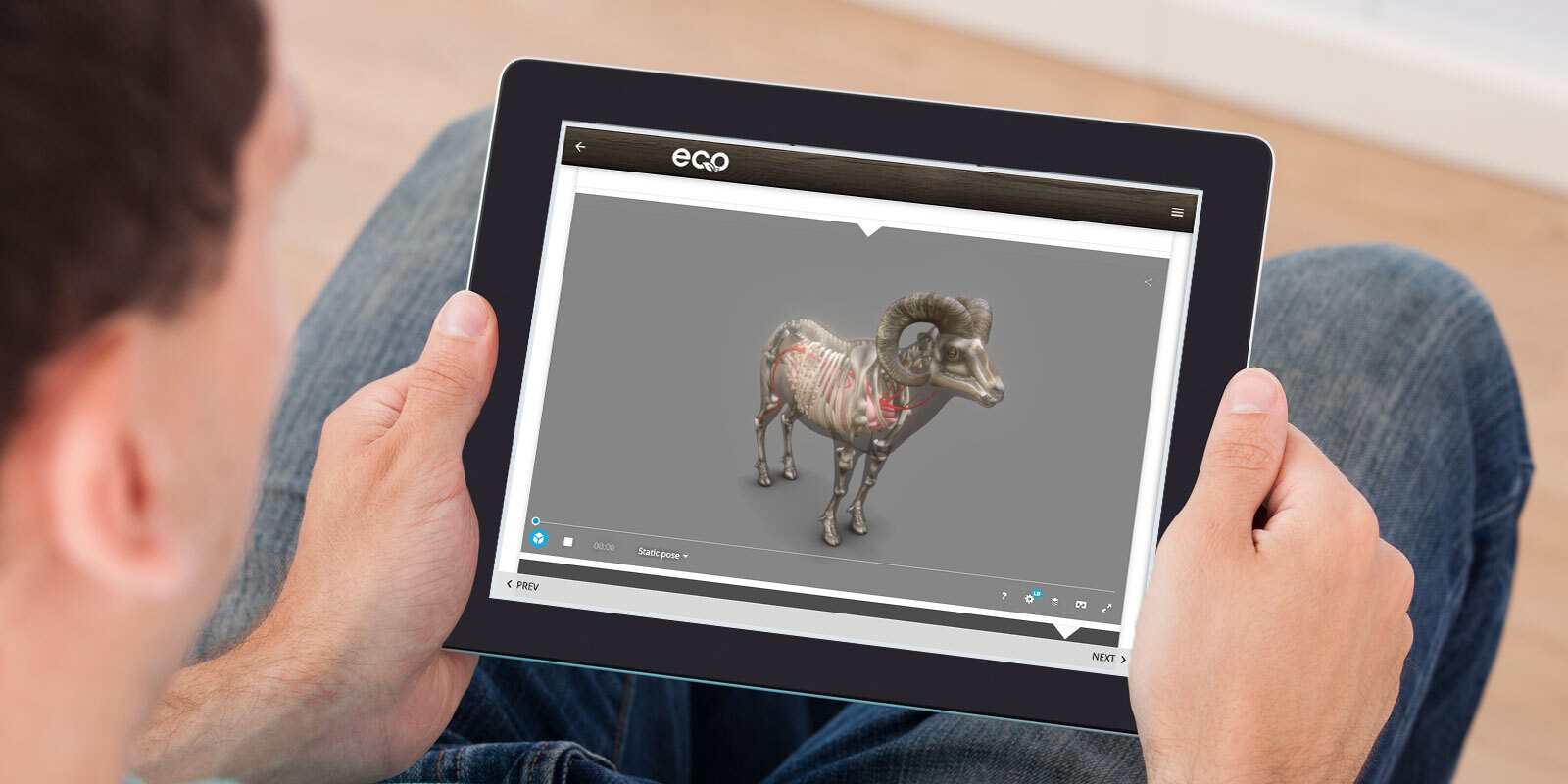 online-courses-hero