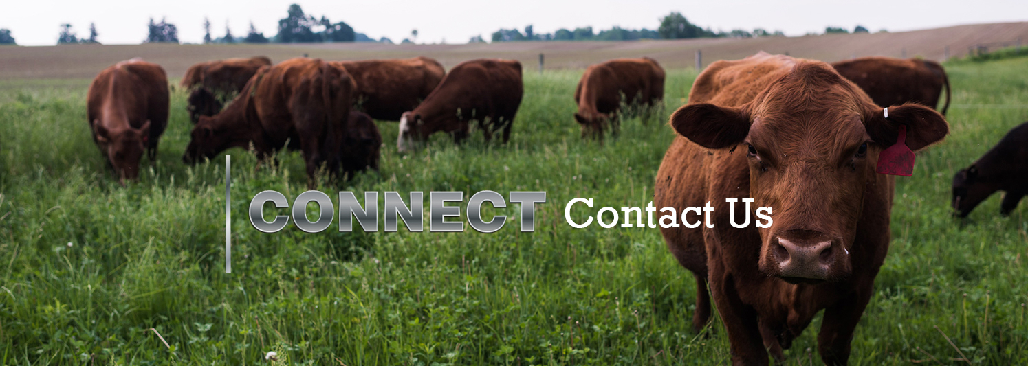 Covid-Contact-WKL
