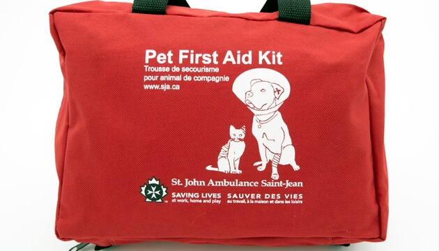 st john pet first aid kit