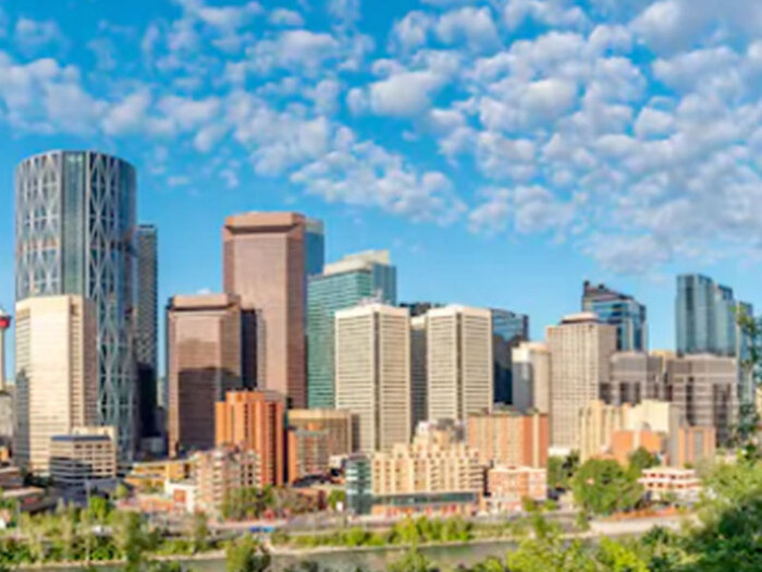 yyc-sample