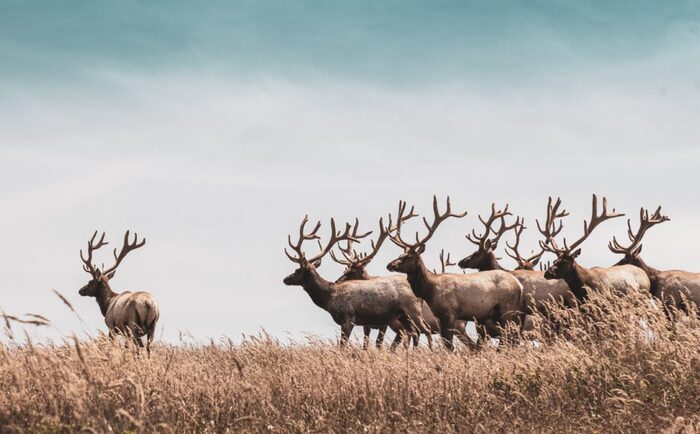 hari-nandakumar-6tGANJJC7lg-unsplash-1024x635